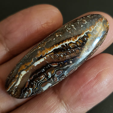 Natural Boulder Opal Cabochon. Size- approx. 45x16mm